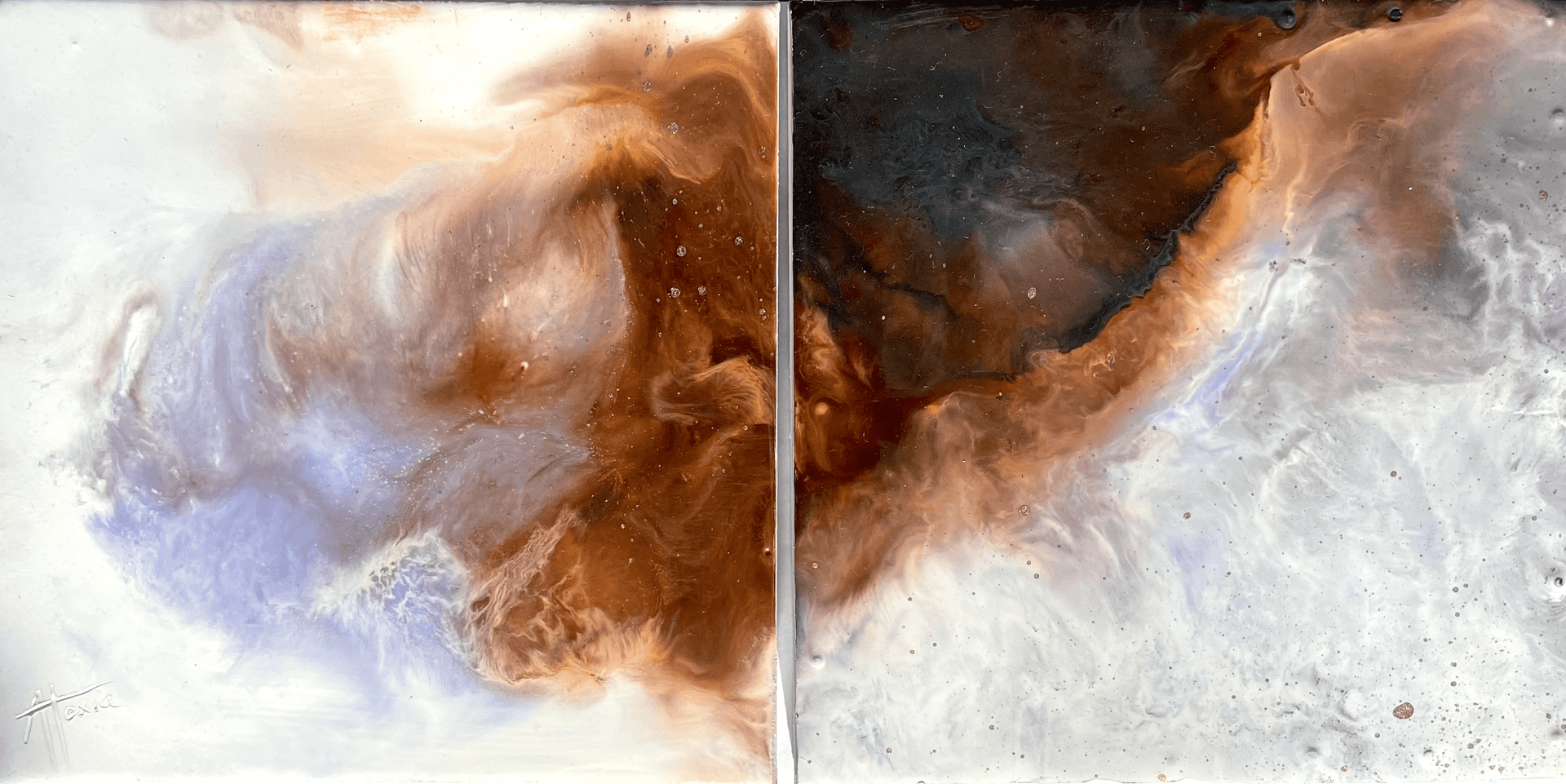 Cosmos